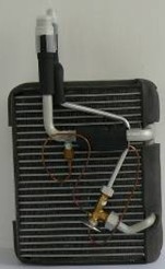 NSF-EA121