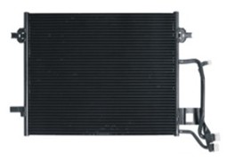 NSF02004