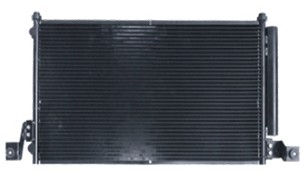 NSF01003