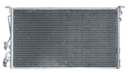 NSF01173